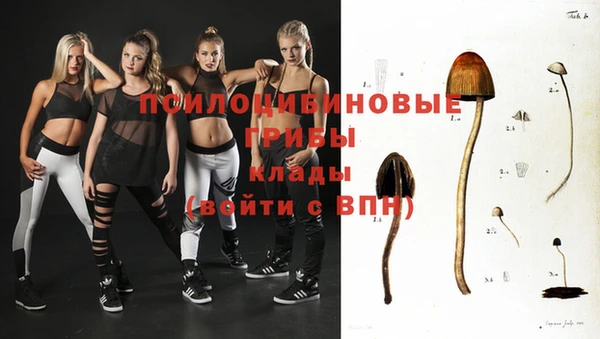 каннабис Аркадак