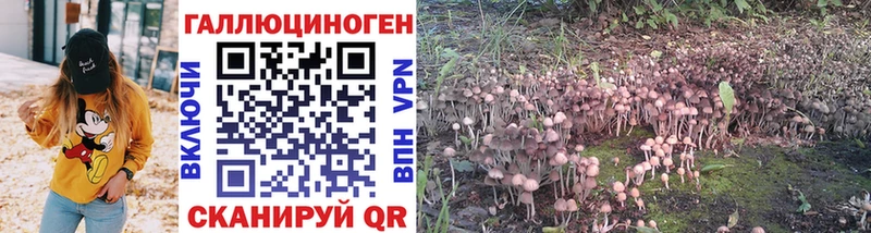 Псилоцибиновые грибы Cubensis Сибай