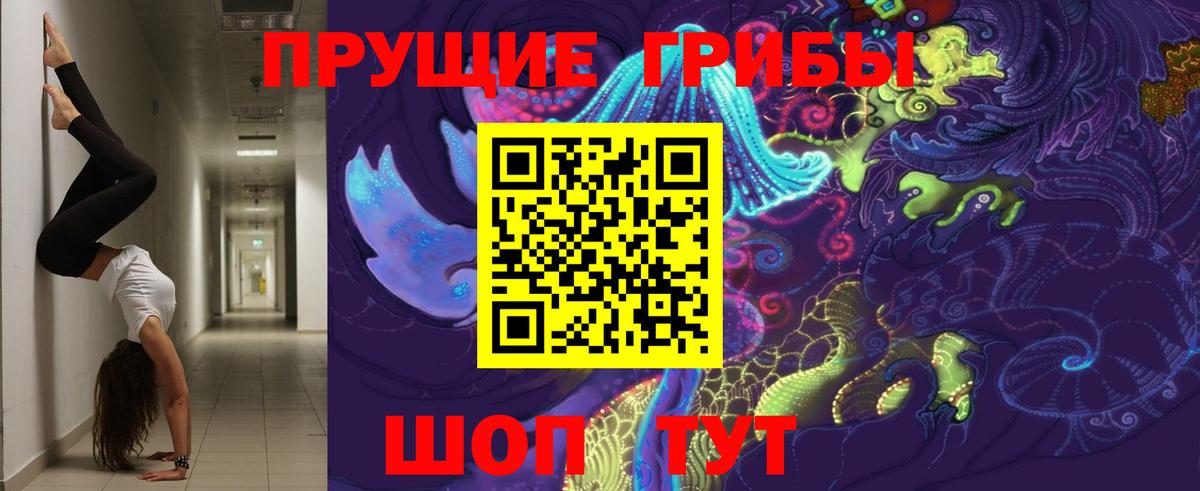 Псилоцибиновые грибы Psilocybe Сибай